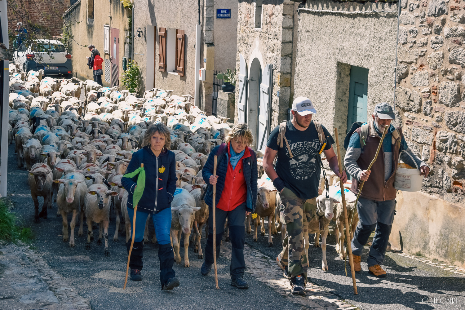 Château de Castel Novel 